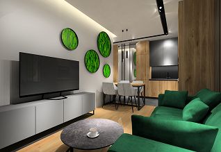 Nowoczesny salon z aneksem