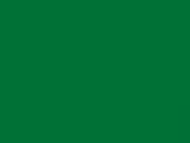 Elegancka Płyta elewacyjna Oxide Green 9561 BS