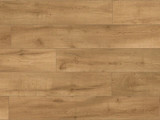 Z209 Butterscotch Oak.webp