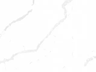 R202_dekor.webp