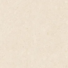 R194_2.webp