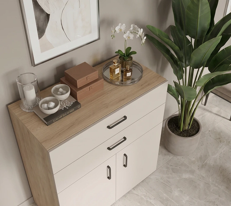 Elegancka komoda dwudrzwiowa z 2 szufladami Kastor